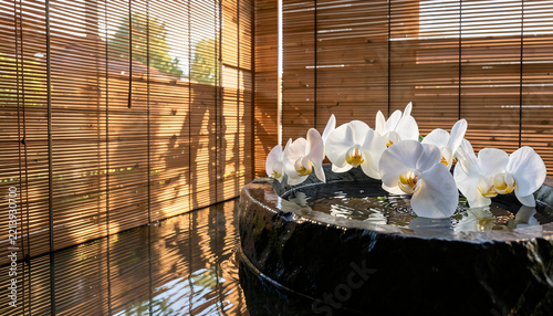 Floating white orchid blossoms in basalt basin with sunbeams, organic wellness spa advertising layout backdrop.