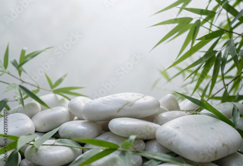 Smooth white marble pebbles and bamboo leaves in morning mist, natural skincare ritual advertising backdrop.