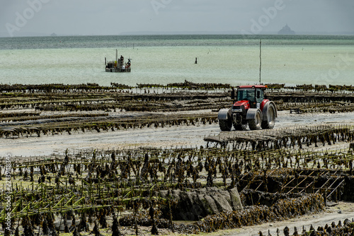 View of underwater oyster farms in Cancale, Brittany, exposed during low tide, raditional sustainable aquaculture and production of premium French oysters, France