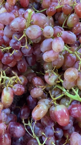 bunch of fresh red grapes