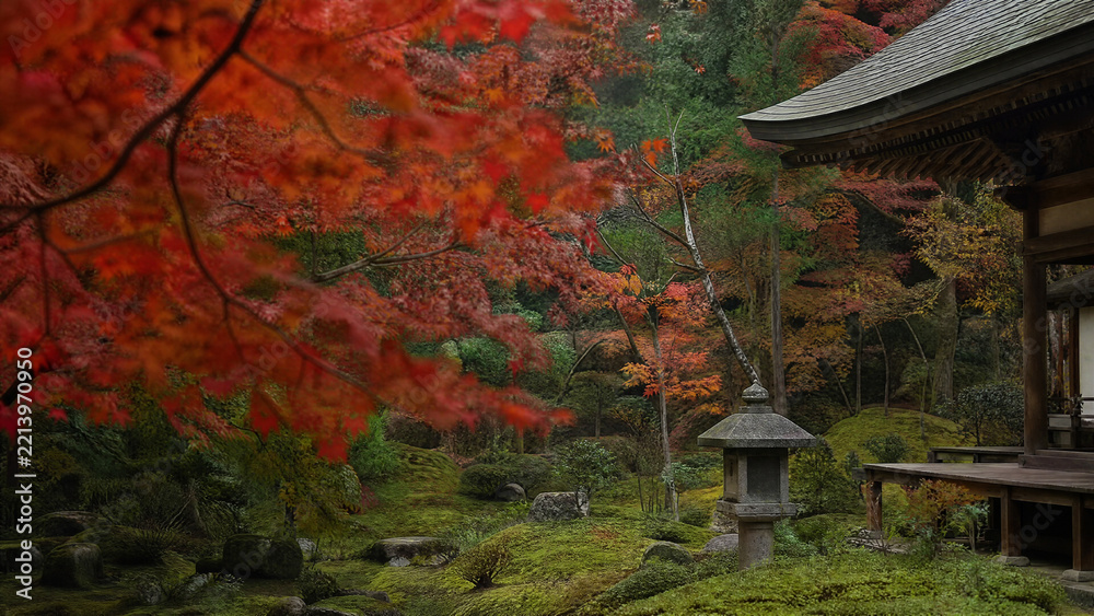 Fototapeta premium Red maple trees in a quiet Japanese temple garden