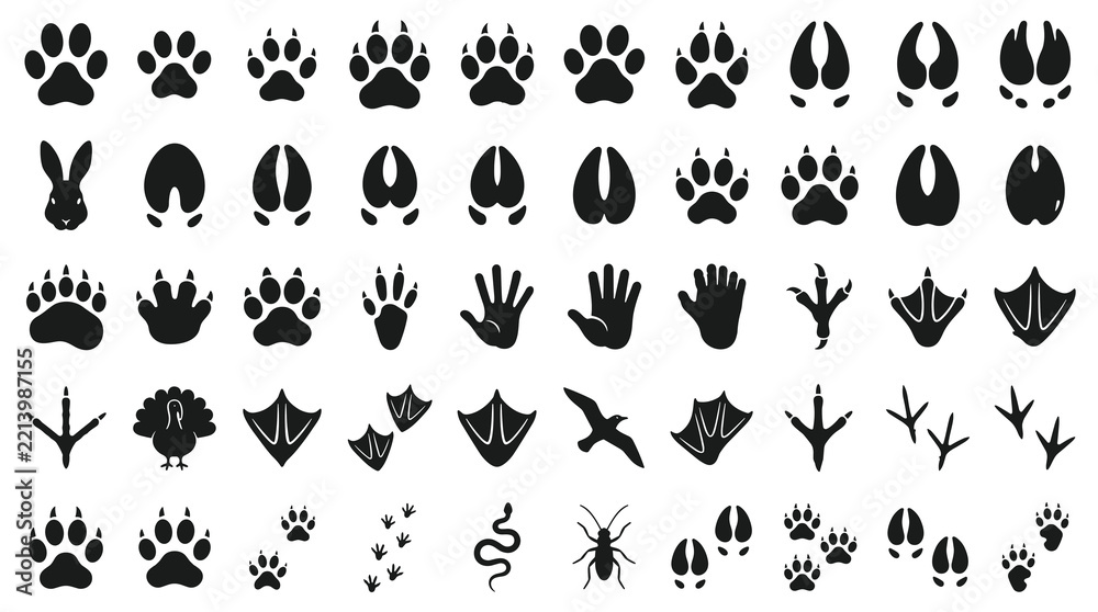 Obraz premium 50 Animal Footprint Vector Icons Featuring Dog Cat Tiger Lion Bear Wolf Fox Deer Horse and Wildlife Paw Prints