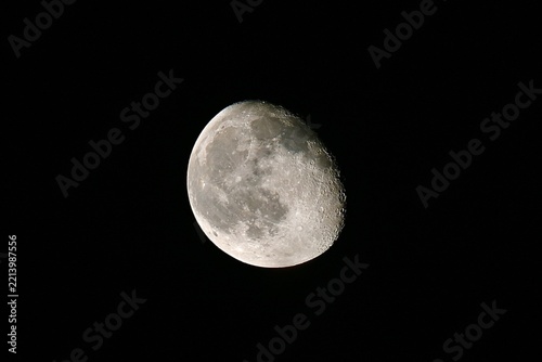 Obraz na plátně moon in the night sky