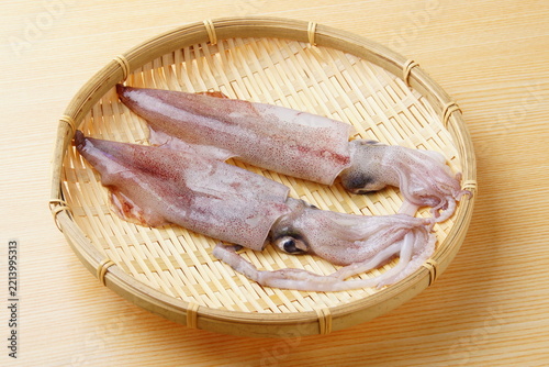 生するめいか食材