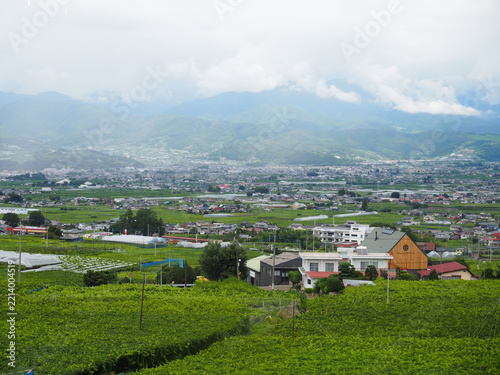 Panoramic view of vineyards and rural landscape in Katsunuma Yamanashi Japan