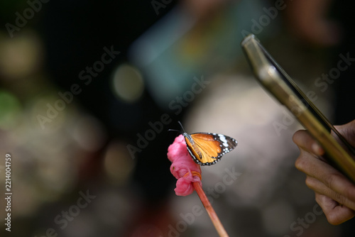 Close-up of a colorful butterfly perched on child's hand while feeding on sweet nectar. Eco-tourism, outdoor learning, and wildlife sanctuary concept.