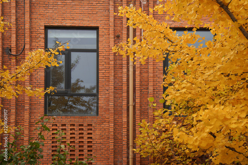 Autumnal scenery with brick building and yellow leaves