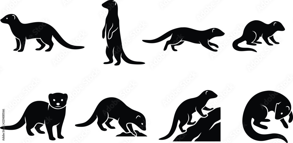 Obraz premium Mongoose set black silhouette icons showing standing running and alert poses