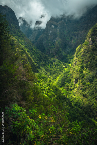 Amazing evergreen forest view from the viewpoint, Madeira, Portugal