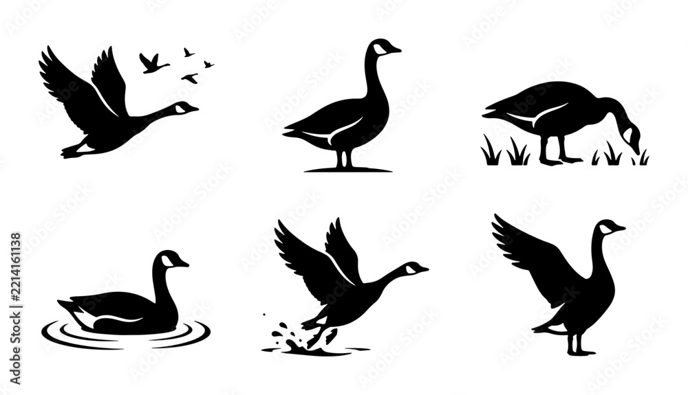 Fototapeta premium Goose silhouettes set with birds flying, standing and swimming for wildlife design