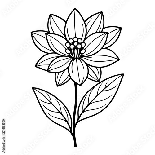 Flower vector illustration