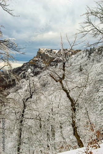 Stunning winter scenery of Mala Fatra national park in Slovakia. Snow covered forest with frozen ice branches framing the dramatic rocky cliff of Klak peak under cold winter sky with clouds.