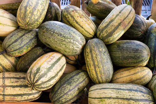 Spaghetti Kürbis (Cucurbita pepo), Kürbisse, Frucht, Bauernmarkt, Nordrhein-Westfalen, Deutschland