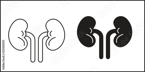 Kidney anatomy icons with ureter details for medical diagnosis and health awareness tools.