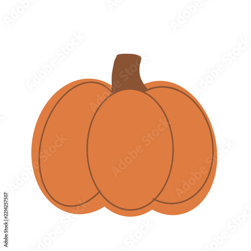 The orange pumpkin features rounded segments with clear outlines and a short brown stem at the top.