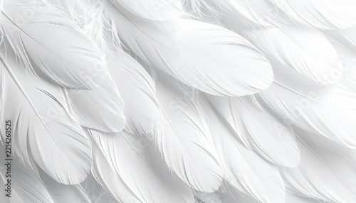 Soft White Feathers Texture with Copy Space