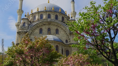 Beautiful architectural view of a grand mosque in Istanbul featuring majestic domes, tall minarets, and vibrant pink cherry blossoms during a sunny spring day in Turkey