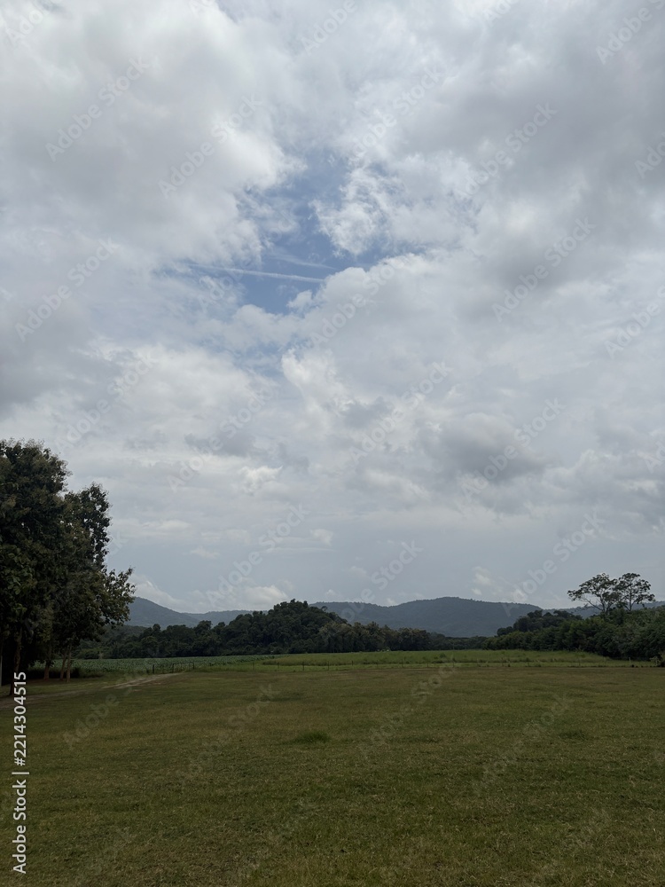 Fototapeta premium Open Grass Field Under Cloudy Sky with Trees and Distant Hills