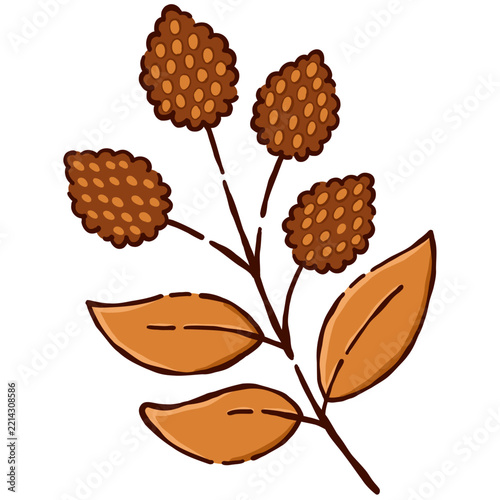 Autumn Botanical Illustration