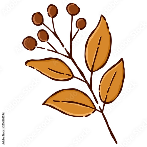 Autumn Leaves and Berries