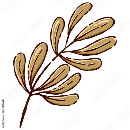 Botanical Leaf Illustration
