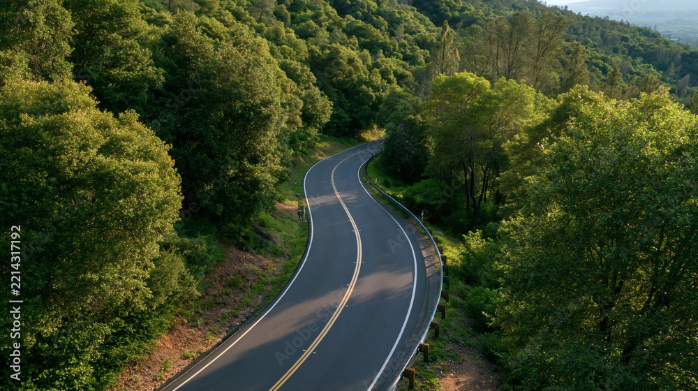 Fototapeta premium Winding Road Through Green Hills: A scenic asphalt road curves through lush, tree-covered hills, bathed in the warm, golden light of late afternoon, inviting exploration and adventure.