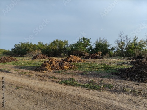 Piles of manure scattered on a field with green grass and trees