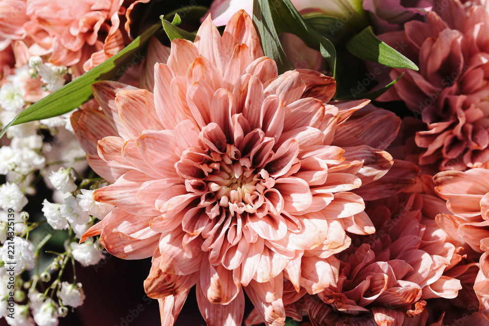 Naklejka premium Pink chrysanthemum flower bouquet. Coral petals with white gypsophila. Fresh floral arrangement background. Decorative garden flower detail. Romantic pastel blossoms. Natural botanical texture.