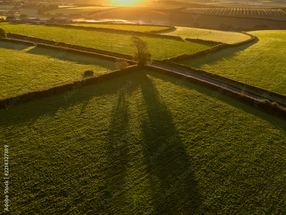 Naklejka premium Early morning sun casts long shadows across patchwork green farmland fields in Cornwall