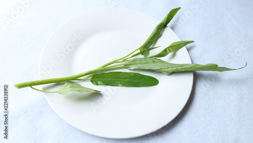 新鮮な空芯菜