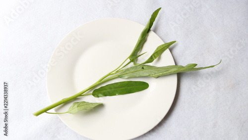 新鮮な空芯菜