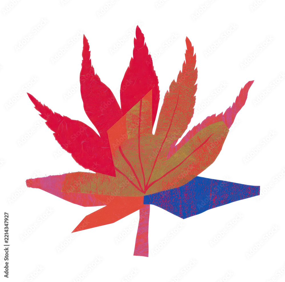Fototapeta premium PNG Colorful abstract leaf illustration with vibrant textures.