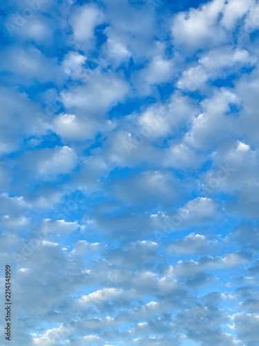 鱗雲