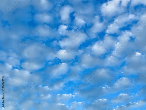 鱗雲
