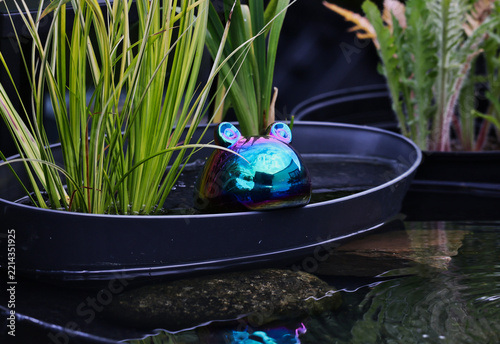 rainbow frog decoration in a water basin