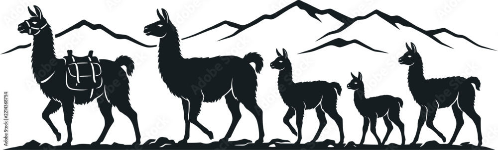 Fototapeta premium Llama family silhouette walking through mountain landscape, andes wildlife vector illustration, monochrome graphic design element, isolated white background. 