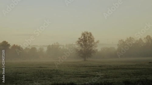 Neblige Wiese im Herbst
