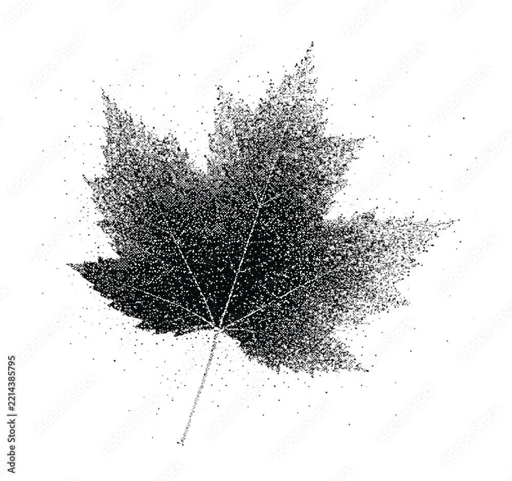 Fototapeta premium PNG Pointillism maple leaf illustration in black and white, transparent background