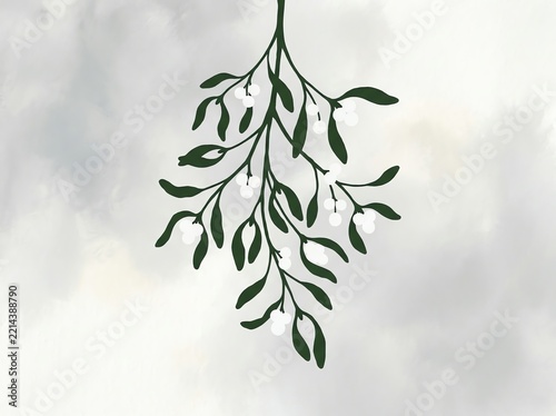 Dark Green Mistletoe Branch with White Berries on a Soft Gray Background