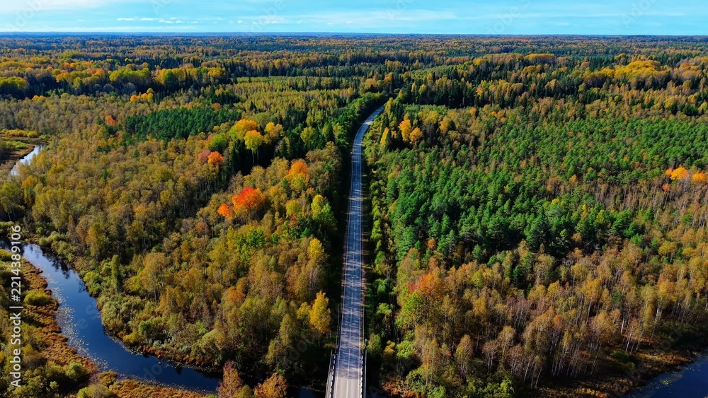 Fototapeta premium Aerial view of railway bridge surrounded by vibrant autumn foliage and winding river