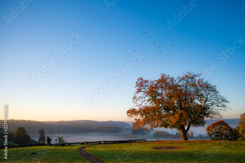 Autumn Morning Landscape with Oak Tree and Walking Path in Misty Countryside