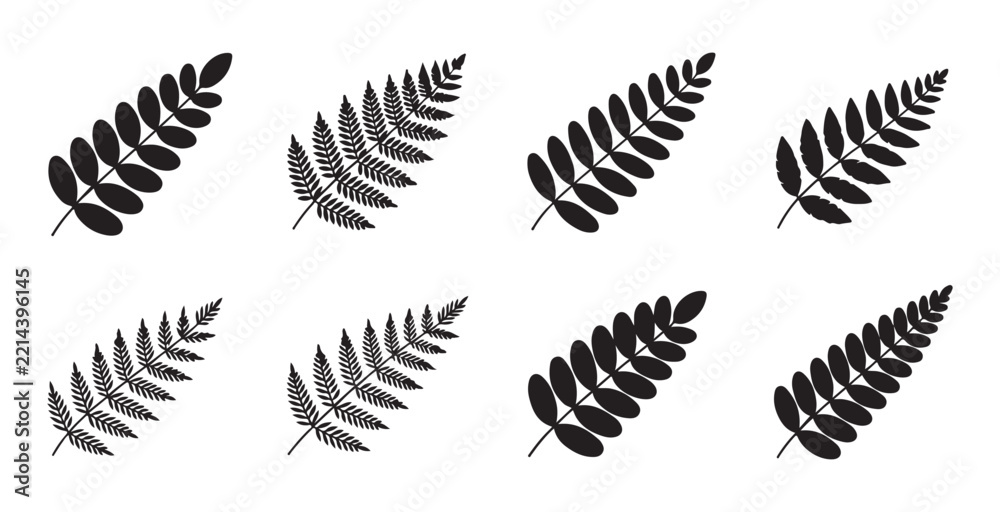 Obraz premium Black fern leaf silhouettes set on transparent background for decorative botanical graphic design.