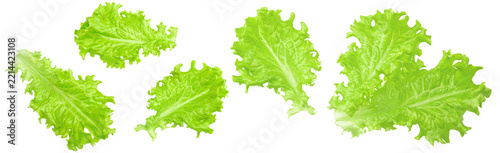 Salad leaf. green lettuce isolated on white background. clipping path