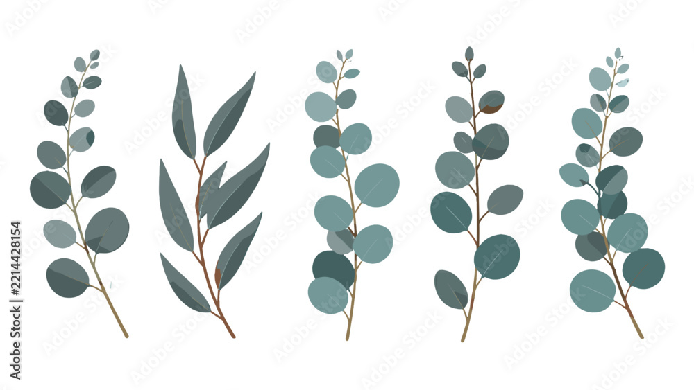 Fototapeta premium Set of eucalyptus sprigs with muted green leaves
