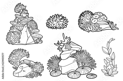 Coral on sandstones with anemones, algae, corals, and sponges black and white for coloring page