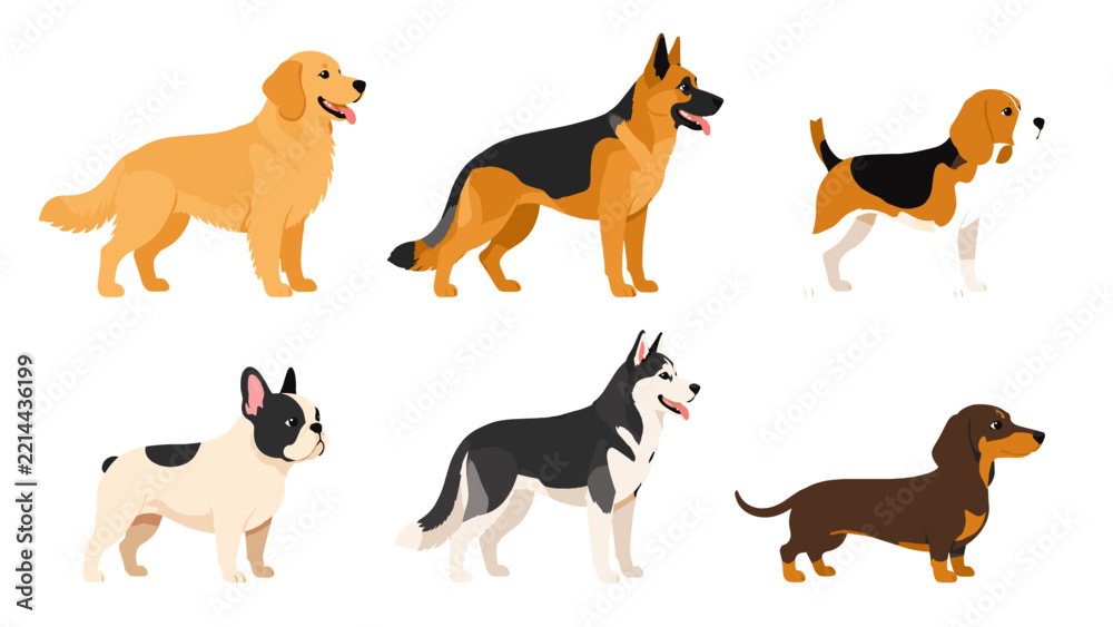 Obraz premium Set of six cartoon dog breeds in side view