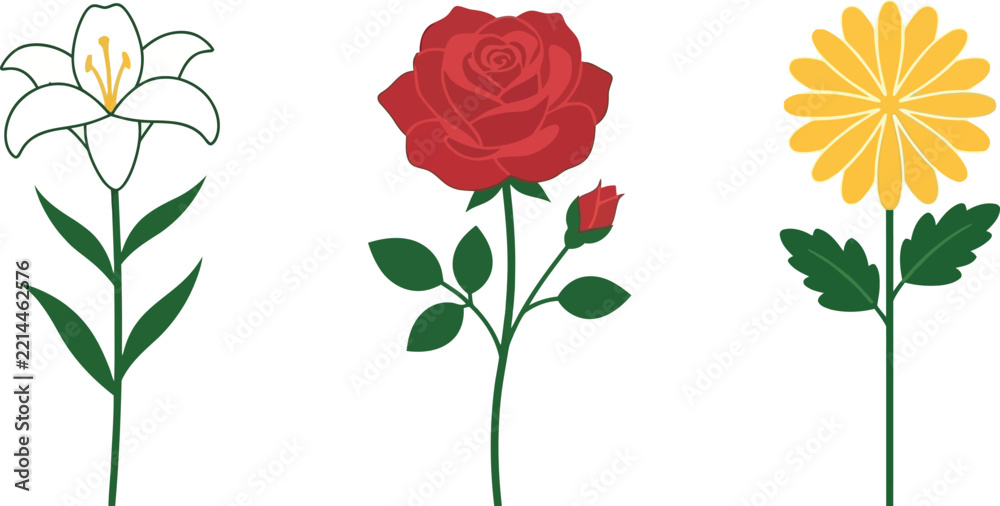 Fototapeta premium A collection of three distinct botanical illustrations featuring a white lily, a vibrant red rose with a bud, and a cheerful yellow daisy on white.