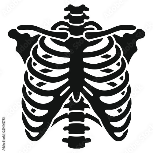 Human rib cage skeleton silhouette vector illustration