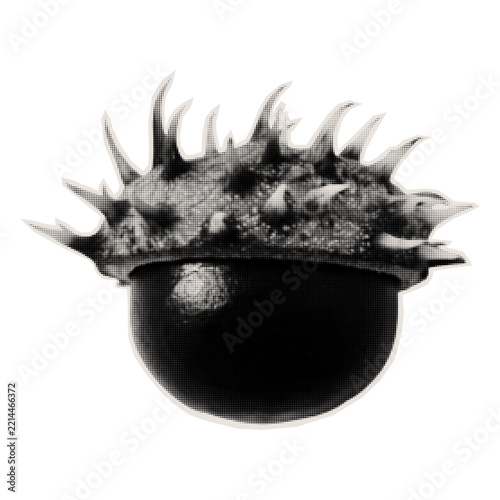 A chestnut in a spiky husk. An autumn-themed image cut from a magazine, suitable for decorating a journal or scrapbook. Halftone vector.