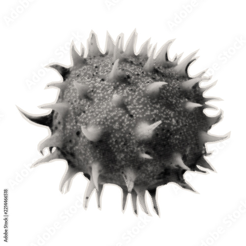 Round chestnut pod. Monochrome illustration of a spiny plant on a white background. Vector.